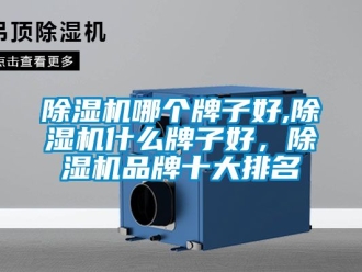 企業新聞除濕機哪個牌子好,除濕機什么牌子好，除濕機品牌十大排名