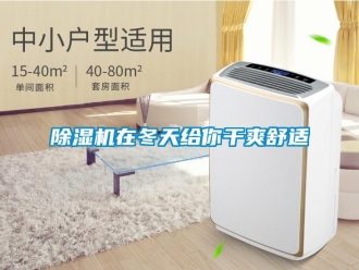 企業新聞除濕機在冬天給你干爽舒適