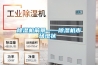 除濕機前景——除濕機市場現狀‍‍