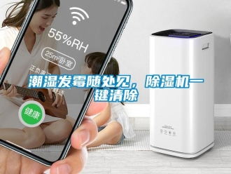 企業新聞潮濕發霉隨處見，除濕機一鍵清除