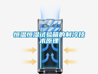 知識百科恒溫恒濕試驗箱的制冷技術(shù)原理