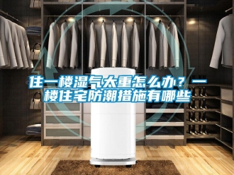 常見問題住一樓濕氣太重怎么辦？一樓住宅防潮措施有哪些