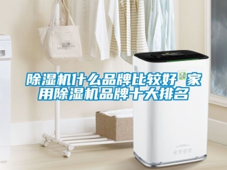 企業新聞除濕機什么品牌比較好 家用除濕機品牌十大排名