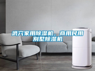 常見問題武穴家用除濕機，商用民用別墅除濕機