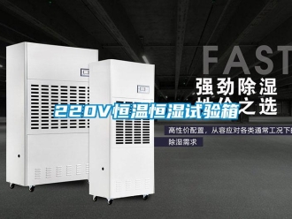 常見問題220V恒溫恒濕試驗箱