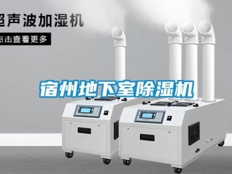 行業(yè)新聞宿州地下室除濕機(jī)