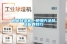 相機除濕機—使用方法以及保養技巧