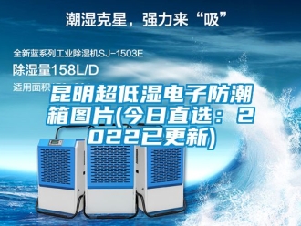常見(jiàn)問(wèn)題昆明超低濕電子防潮箱圖片(今日直選：2022已更新)