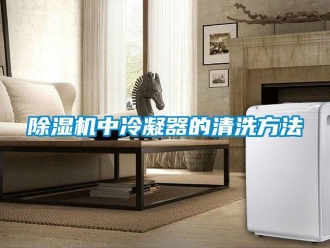 企業新聞除濕機中冷凝器的清洗方法