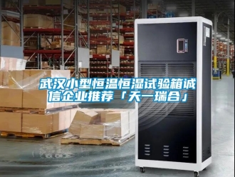 知識百科武漢小型恒溫恒濕試驗箱誠信企業推薦「天一瑞合」