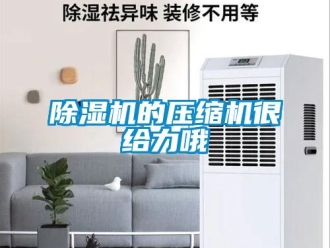 常見問題除濕機的壓縮機很給力哦