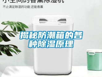 常見問題揭秘防潮箱的各種除濕原理