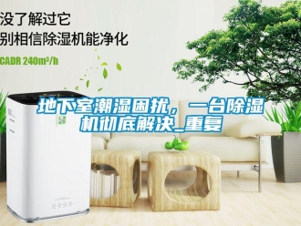 行業新聞地下室潮濕困擾，一臺除濕機徹底解決_重復