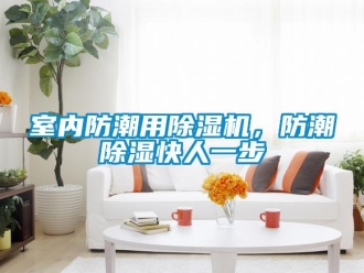 知識百科室內防潮用除濕機，防潮除濕快人一步