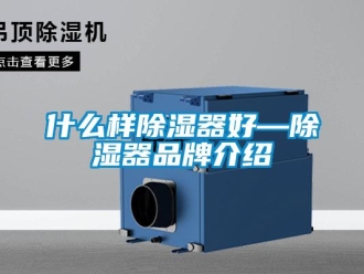 行業(yè)新聞什么樣除濕器好—除濕器品牌介紹