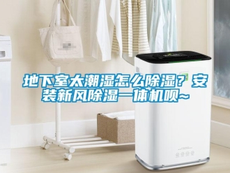 常見問題地下室太潮濕怎么除濕？安裝新風除濕一體機唄~