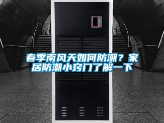 常見問題春季南風天如何防潮？家居防潮小竅門了解一下