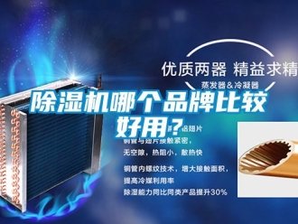 企業(yè)新聞除濕機(jī)哪個(gè)品牌比較好用？
