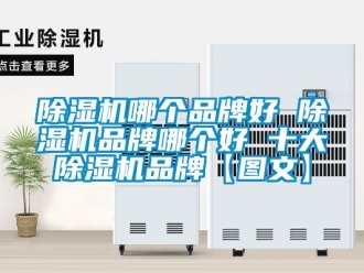 企業新聞除濕機哪個品牌好 除濕機品牌哪個好 十大除濕機品牌【圖文】