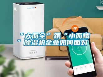 常見問題“大而全”跟“小而精”除濕機企業如何面對