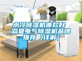 企業新聞水冷除濕機哪款好 森夏電氣除濕機品牌推薦【詳解】