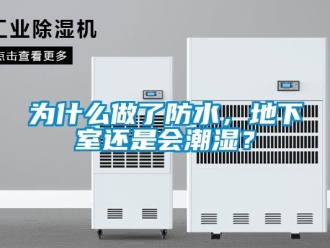企業新聞為什么做了防水，地下室還是會潮濕？