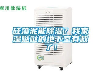 企業新聞硅藻泥能除濕？我家濕噠噠的地下室有救了！
