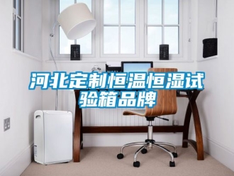 知識百科河北定制恒溫恒濕試驗箱品牌