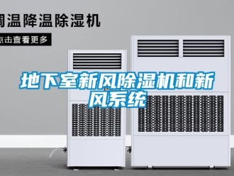 企業(yè)新聞地下室新風(fēng)除濕機(jī)和新風(fēng)系統(tǒng)