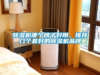 企業新聞除濕機哪個牌子好用，推薦幾個最好的除濕機品牌