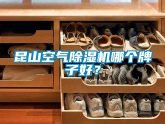 行業新聞昆山空氣除濕機哪個牌子好？