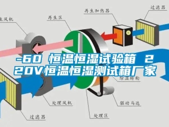 常見問題-60℃恒溫恒濕試驗箱 220V恒溫恒濕測試箱廠家