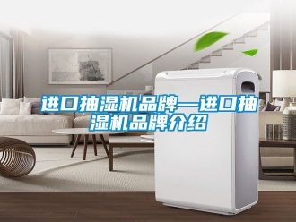 企業新聞進口抽濕機品牌—進口抽濕機品牌介紹