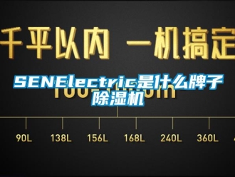 企業新聞SENElectric是什么牌子除濕機