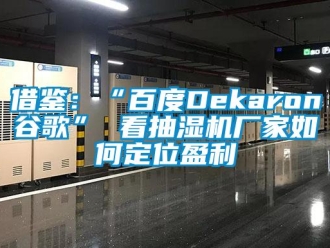 常見(jiàn)問(wèn)題借鑒：“百度Dekaron谷歌” 看抽濕機(jī)廠家如何定位盈利