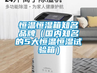 知識百科恒溫恒濕箱知名品牌（國內知名的5大恒溫恒濕試驗箱）