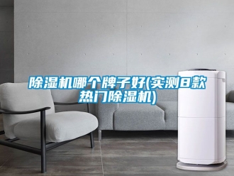 行業新聞除濕機哪個牌子好(實測8款熱門除濕機)