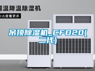 行業(yè)新聞吊頂除濕機(jī)_CFD20(二代)