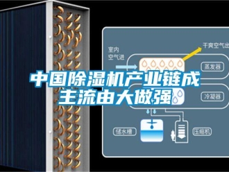 知識百科中國除濕機產業鏈成主流由大做強
