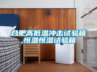 知識(shí)百科合肥高低溫沖擊試驗(yàn)箱,恒溫恒濕試驗(yàn)箱