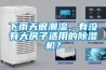 下雨天很潮濕，有沒有大房子適用的除濕機？