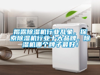 企業(yè)新聞揭露除濕機(jī)行業(yè)亂象，探索除濕機(jī)行業(yè)十大品牌，除濕機(jī)哪個(gè)牌子最好！