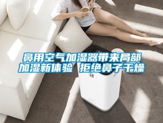 常見問題鼻用空氣加濕器帶來局部加濕新體驗 拒絕鼻子干燥
