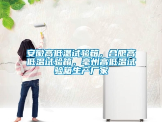 常見問題安徽高低溫試驗箱，合肥高低溫試驗箱，毫州高低溫試驗箱生產廠家