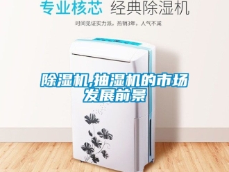 企業新聞除濕機,抽濕機的市場發展前景