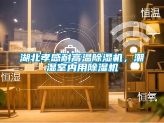 行業新聞湖北孝感耐高溫除濕機，潮濕室內用除濕機