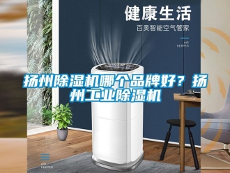 常見問題揚州除濕機哪個品牌好？揚州工業除濕機