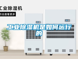 常見問題工業除濕機是如何運行的