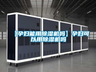 企業(yè)新聞【孕婦能用除濕機(jī)嗎】孕婦可以用除濕機(jī)嗎