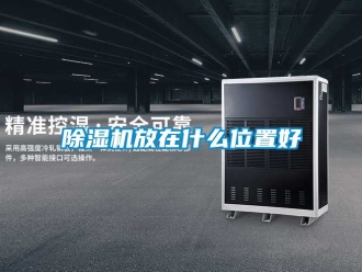行業(yè)新聞除濕機(jī)放在什么位置好